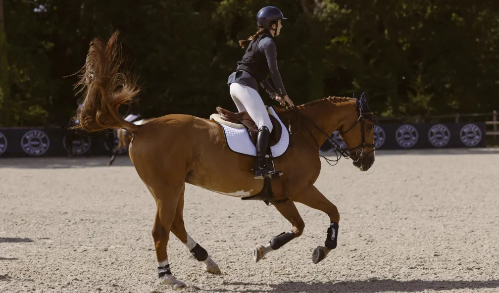 Jeunes cavaliers de la serie du reel Au galop