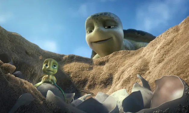 Le voyage extraordinaire de Samy sur 6ter : le grand périple océanique d’une tortue signé Ben Stassen