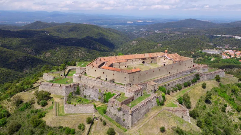 Le port et le clocher de Collioure baignés par la lumière méditerranéenne des Pyrénées-Orientales