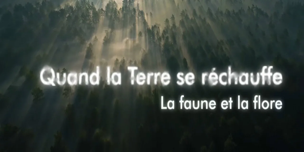 « Quand la Terre se réchauffe » sur Arte : ce que le climat brûlant d’il y a 56 millions d’années nous apprend