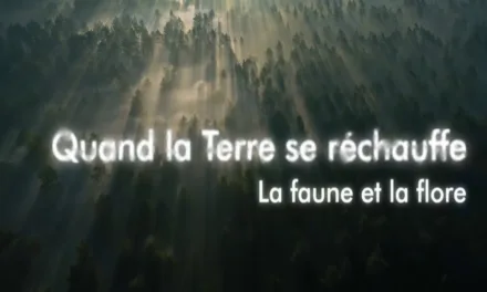 « Quand la Terre se réchauffe » sur Arte : ce que le climat brûlant d’il y a 56 millions d’années nous apprend