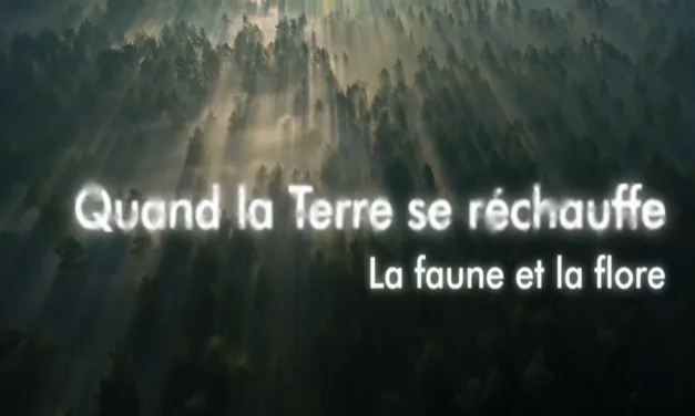 « Quand la Terre se réchauffe » sur Arte : ce que le climat brûlant d’il y a 56 millions d’années nous apprend
