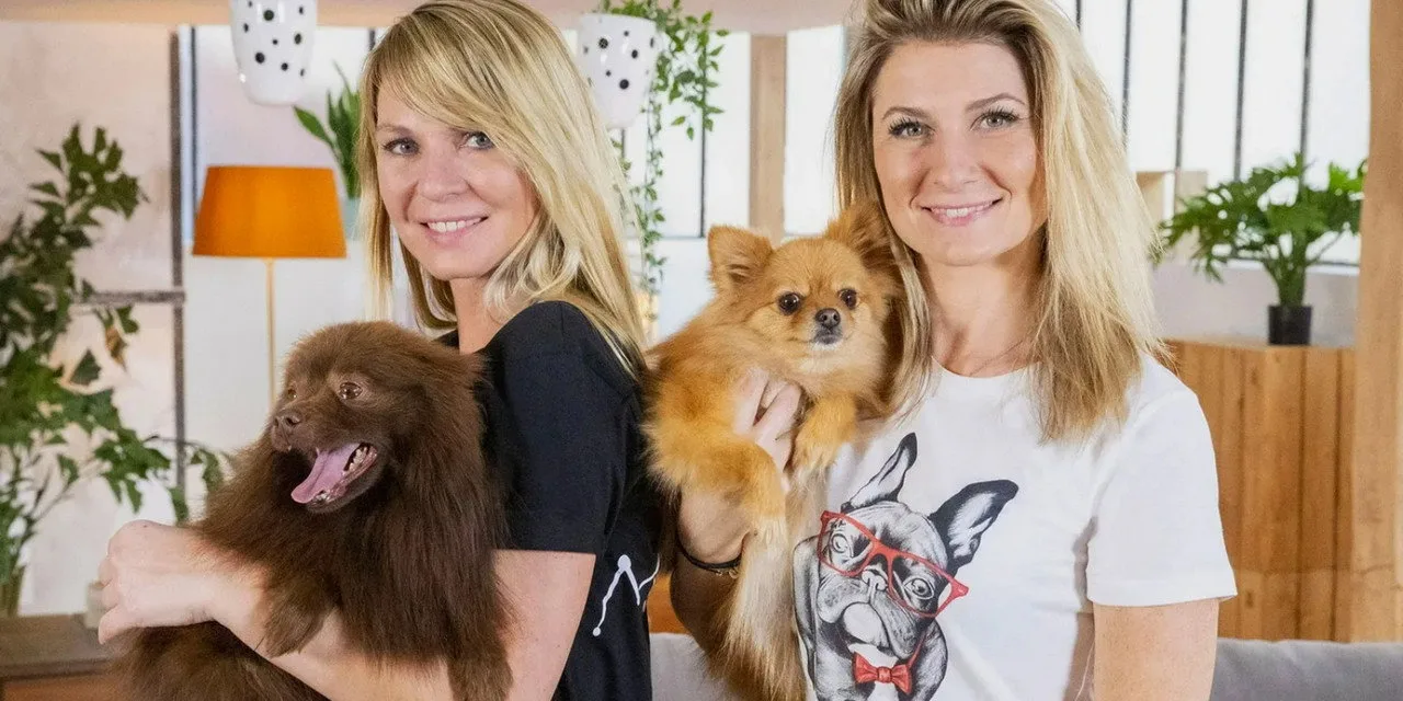Animaux à adopter sur CStar : au refuge de Saint-Omer, l’espoir d’une nouvelle vie pour les pensionnaires ce vendredi