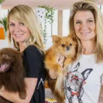 Animaux à adopter sur CStar : au refuge de Saint-Omer, l’espoir d’une nouvelle vie pour les pensionnaires ce vendredi