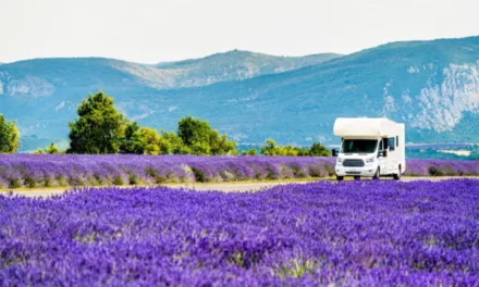 Capital sur M6 : le business XXL des camping-cars, du low-cost au grand luxe, au sommaire ce dimanche