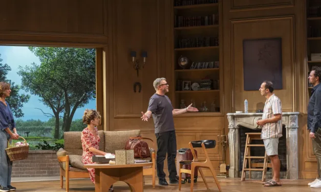 Mon jour de chance sur France 2 : la comedie a succes du Theatre Fontaine avec Guillaume de Tonquedec
