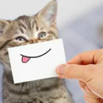 Le grand bêtisier des animaux sur Gulli : chats casse-cou et chiens déjantés pour une soirée familiale pleine de rires ce samedi