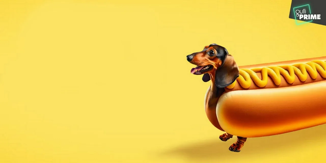 Le grand bêtisier des animaux sur Gulli : chats, chiens et bêtes de la ferme en roue libre pour une soirée éclats de rire