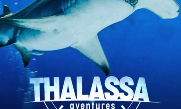 Thalassa aventures extrêmes sur France 5 : Diego Buñuel explore le triangle de corail des Philippines