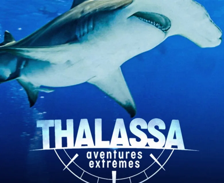 Thalassa aventures extrêmes sur France 5 : Diego Buñuel explore le triangle de corail des Philippines