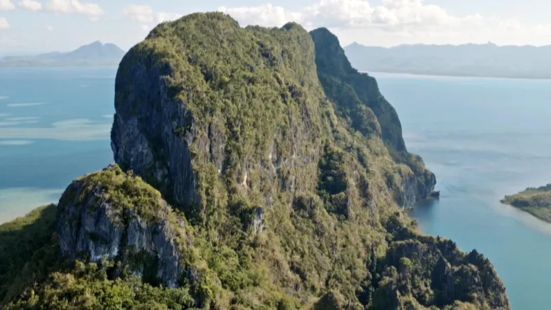 Immersion sous-marine dans le Triangle de corail, aux Philippines