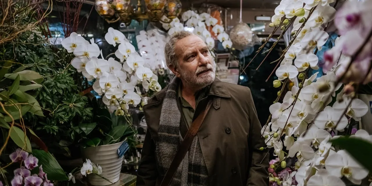Touch – Nos étreintes passées : un Islandais de 73 ans part retrouver l’amour d’une vie sur Canal+ Cinéma