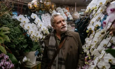 Touch – Nos étreintes passées : un Islandais de 73 ans part retrouver l’amour d’une vie sur Canal+ Cinéma