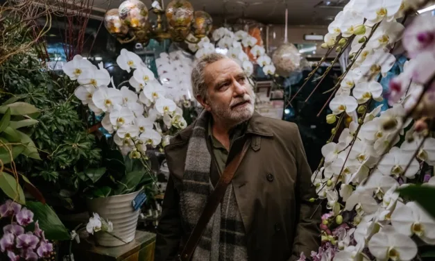Touch – Nos étreintes passées : un Islandais de 73 ans part retrouver l’amour d’une vie sur Canal+ Cinéma