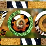 Une saison au zoo sur 6ter : soigneurs, tigres blancs et éléphants dans les coulisses du parc ce soir