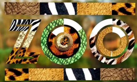 Une saison au zoo sur 6ter : soigneurs, tigres blancs et éléphants dans les coulisses du parc ce soir