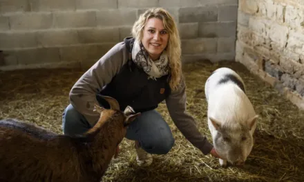 L’amour est dans le pré 2026 (spoilers) : Justine rassurée après son premier tête-à-tête avec François