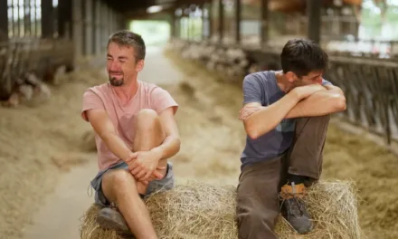 L’amour est dans le pré saison 21 : qui est Étienne, l’agriculteur de la Manche qui partage l’aventure avec son frère ?