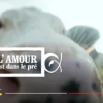 L’amour est dans le pré saison 21 : les choix de l’épisode du 7 septembre