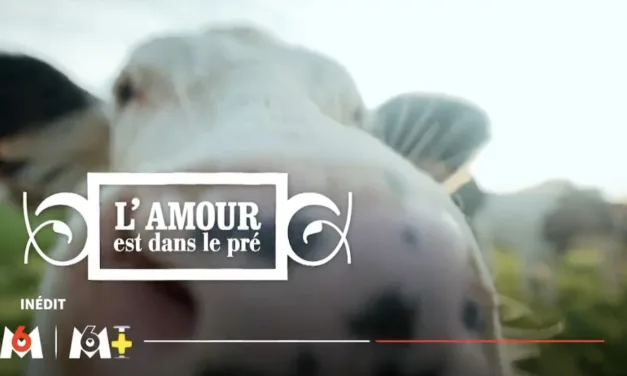 L’amour est dans le pré saison 21 : les choix de l’épisode du 7 septembre