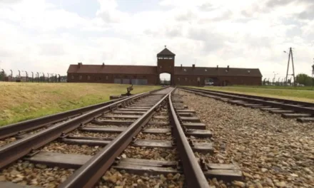 Auschwitz, la machine de mort nazie sur RMC Découverte : au cœur du symbole de la Shoah