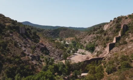 Barrage de Malpasset sur France 3 : la mémoire engloutie d’une catastrophe qui a changé la France