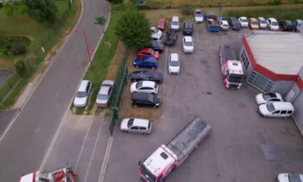 Enlèvement demandé sur RMC Story : immersion à hauts risques dans le quotidien des fourrières