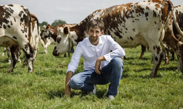 L’amour est dans le pré 2026 (spoilers) : Étienne déstabilisé par le comportement de ses prétendantes