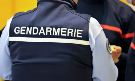 Flic Story sur RMC Découverte : immersion au plus près des gendarmes de Valence, du contrôle de routine à l’intervention