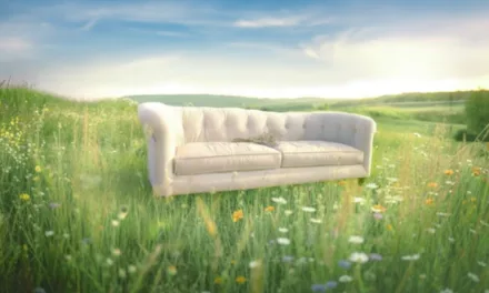 L’amour vu du pré sur M6 : les coulisses et les confidences prolongent la soirée des agriculteurs