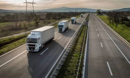 Les Routiers sur RMC Découverte : huit manchots, un tapir et un convoi hors normes sur les routes