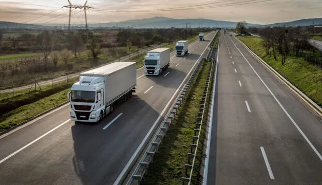 Les Routiers sur RMC Découverte : huit manchots, un tapir et un convoi hors normes sur les routes