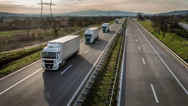 Les Routiers sur RMC Découverte : huit manchots, un tapir et un convoi hors normes sur les routes