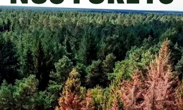 Sauvons nos forêts sur France 2 : Léa Salamé et Hugo Clément face à l’été des mégafeux