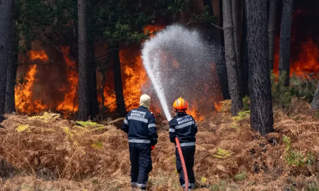 Sauvons nos forêts sur France 2 : Léa Salamé et Hugo Clément mobilisent le service public après un été de mégafeux