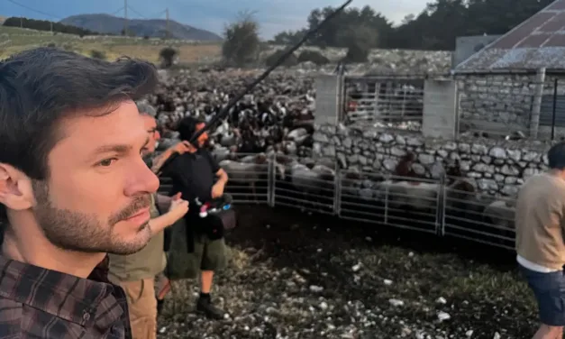 Transhumance sur France 3 : Bernard, l’un des derniers bergers à rejoindre le Mercantour à pied avec 2 000 moutons