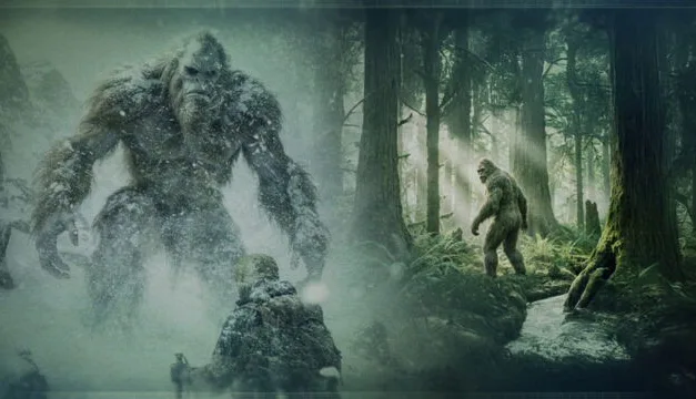 Yéti et Bigfoot sur RMC Story : enquête sur deux créatures qui défient la science