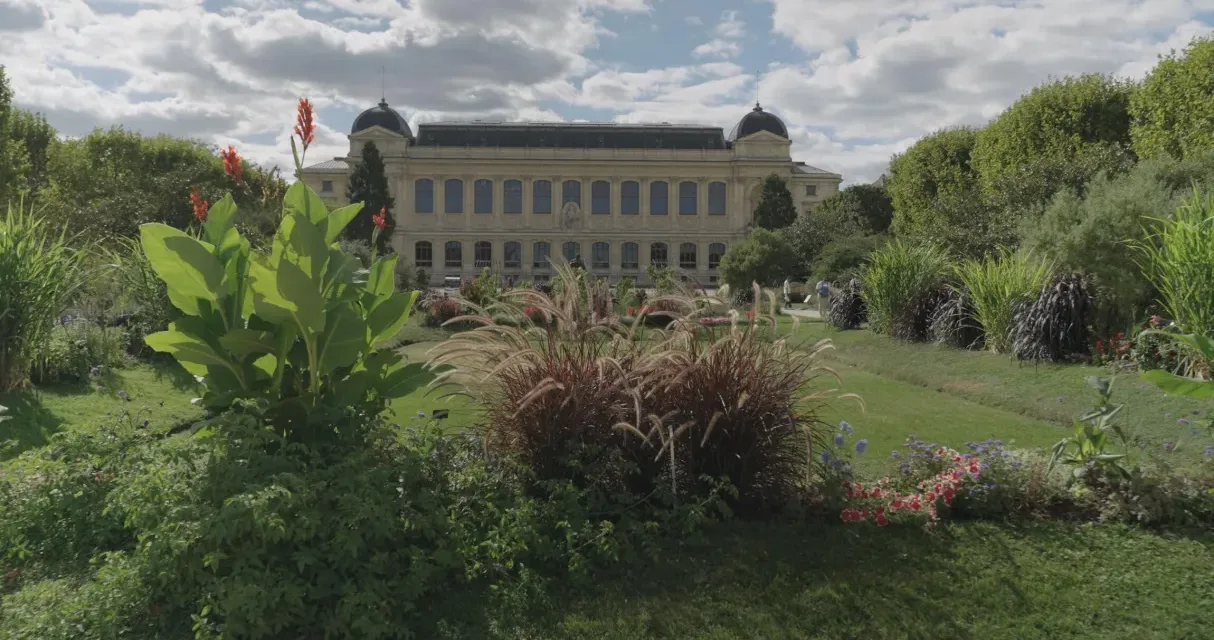 Des racines et des ailes sur France 3 : les 400 ans du Jardin des Plantes, joyau de Paris
