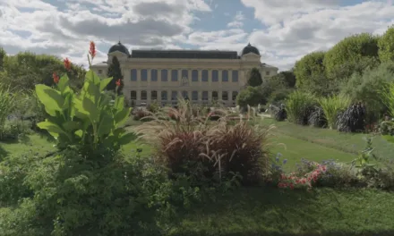 Des racines et des ailes sur France 3 : les 400 ans du Jardin des Plantes, joyau de Paris