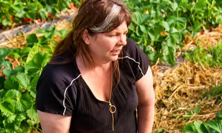 L’amour est dans le pré 2026 : de l’eau dans le gaz chez Jean-Louis avec Brigitte et Léonie