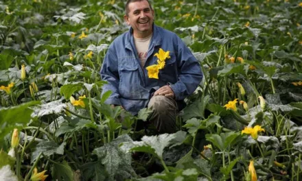 L’amour est dans le pré saison 21 : qui est Jean-Louis, producteur de tabac et de fraises dans le Lot-et-Garonne ?