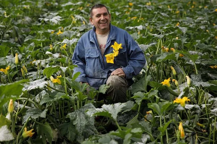 L’amour est dans le pré saison 21 : qui est Jean-Louis, producteur de tabac et de fraises dans le Lot-et-Garonne ?