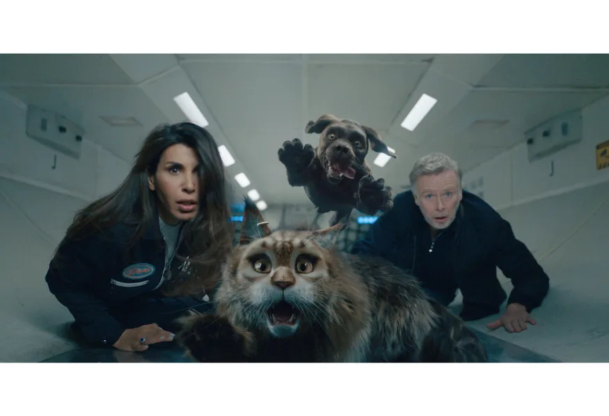 Chien et Chat sur TF1 : la comédie de Reem Kherici dimanche 18 octobre
