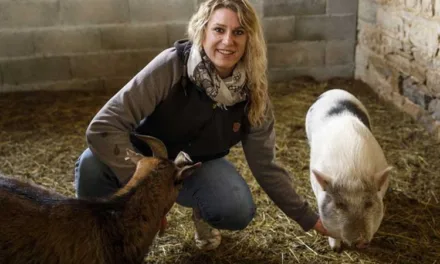 L’amour est dans le pré saison 21 : qui est Justine, gérante de ferme pédagogique dans l’Ain ?