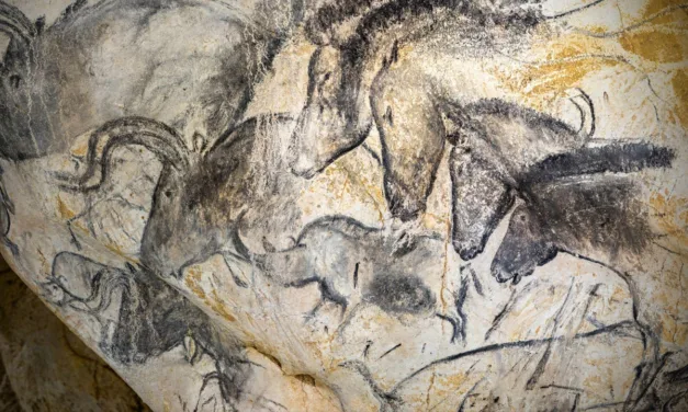 Grotte Chauvet sur Arte : plongée dans la Chapelle Sixtine de la Préhistoire et ses chefs-d’oeuvre vieux de 36 000 ans