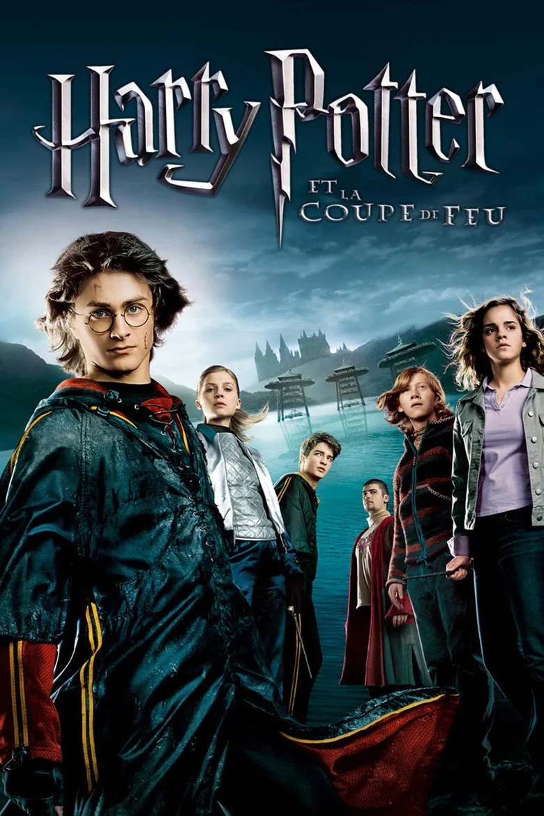 Harry Potter et la Coupe de feu sur TMC