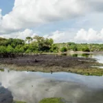 Koh-Lanta All Stars sur TF1 : 18 aventuriers de légende s’affrontent en binômes au Panama ce mardi soir