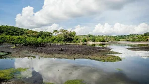 Koh-Lanta All Stars sur TF1 : 18 aventuriers de légende s’affrontent en binômes au Panama ce mardi soir