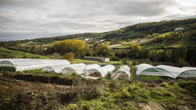 L’amour est dans le pré sur M6 : les speed-datings rebattent les cartes des agriculteurs ce lundi