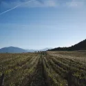 La terre et le sang, avec Thierry Neuvic